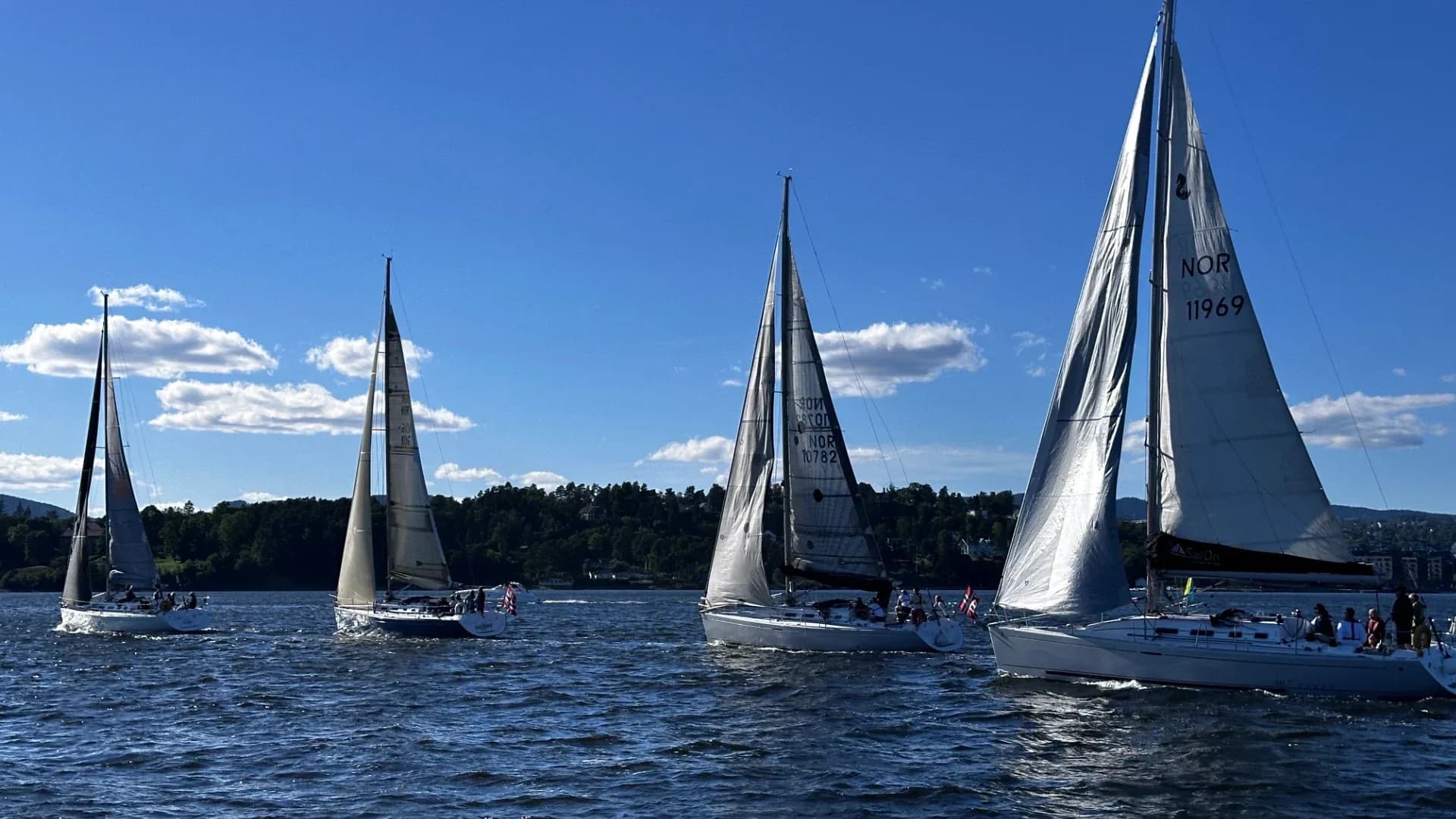 Seilbåter i regatta på fjorden